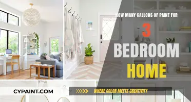 Painting a 3-Bedroom Home: How Much Paint is Needed?