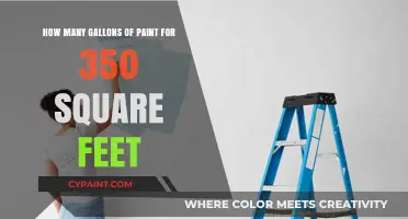 Paint Job: Gallons Required for 350 Square Feet