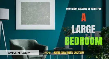Painting a Large Bedroom: How Many Gallons of Paint?