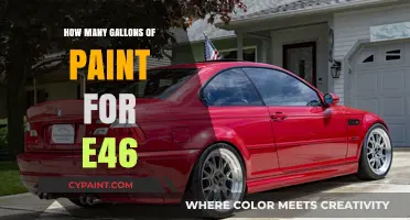 E46 Paint Job Guide: Estimating Gallons for Perfect Coverage