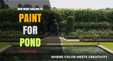 Calculating Paint Quantity for Your Pond: A Comprehensive Guide