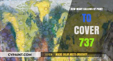 Calculating Paint Quantity: Covering a 737 Aircraft Efficiently