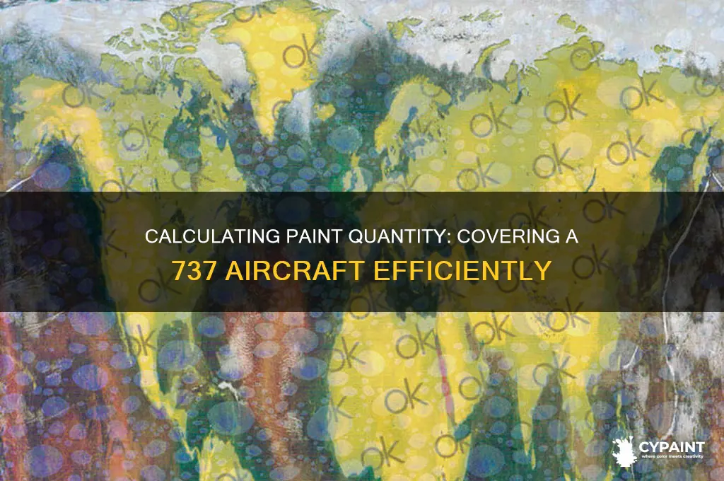how many gallons of paint to cover 737