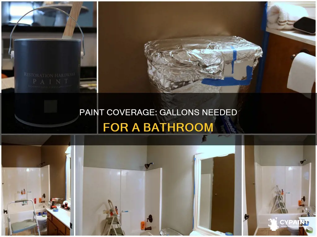 how many gallons of paint to cover a bathroom