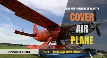 Paint Job: Covering a Plane's Exterior