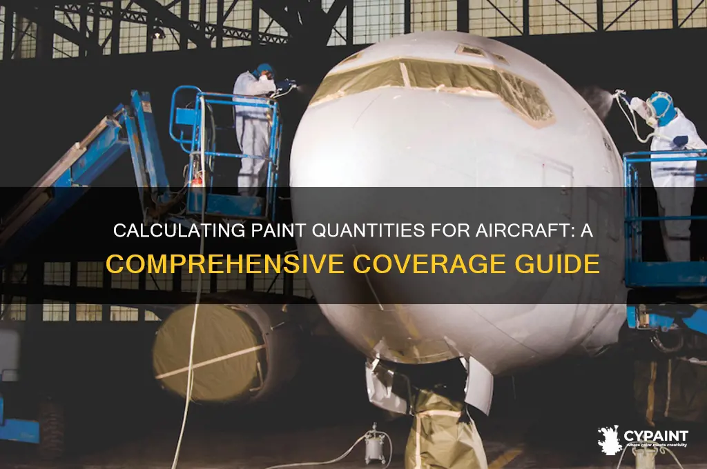 how many gallons of paint to cover airplane
