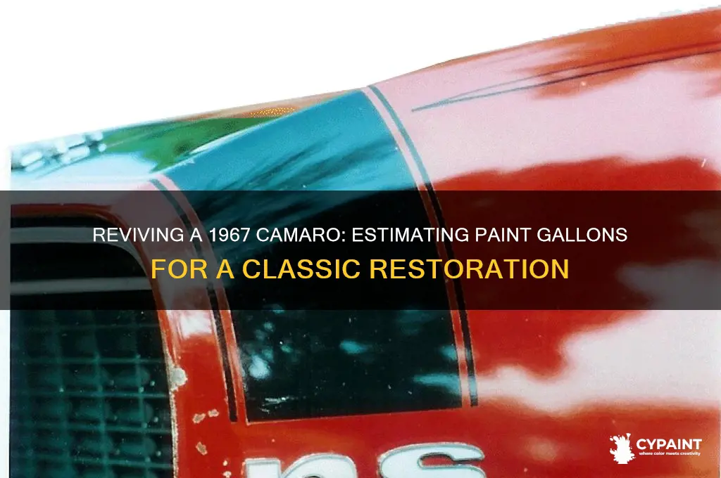 how many gallons of paint to do a 1967 camaro