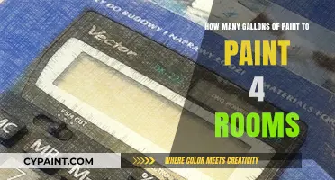 Paint Job: Gallons Needed for Four Rooms
