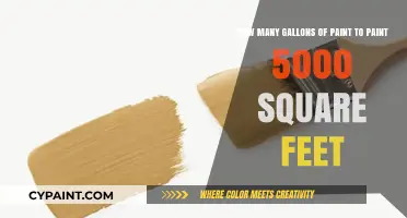 Calculating Paint Needs: How Many Gallons for 5000 Square Feet?