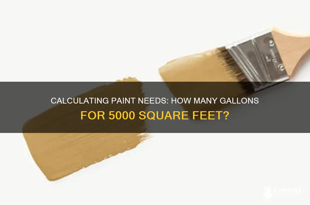 how many gallons of paint to paint 5000 square feet