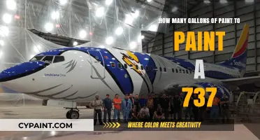 Painting a 737: Gallons Required and Application Techniques