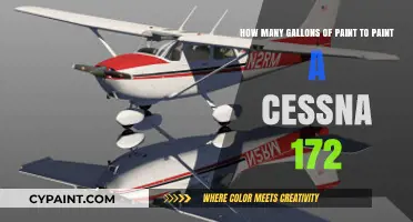 Painting a Cessna 172: Estimating Gallons of Paint Needed