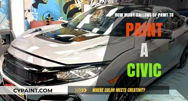 Painting a Civic: Gallons Required for Full Coverage