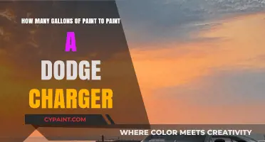 How Many Gallons of Paint Does a Dodge Charger Need?