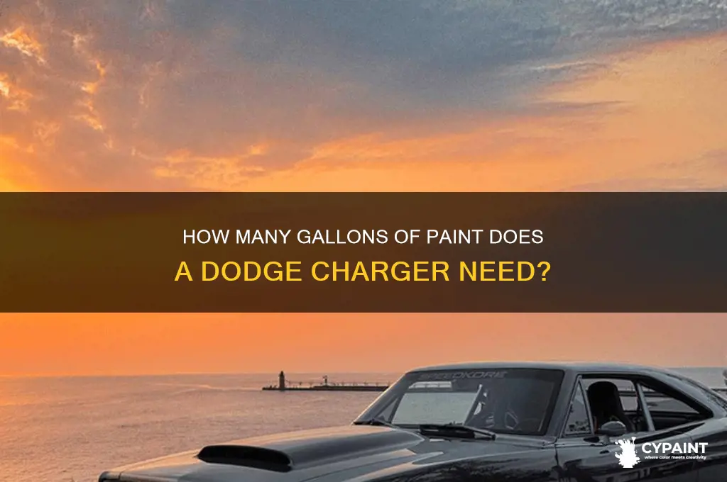 how many gallons of paint to paint a dodge charger