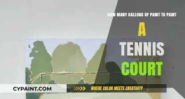 Calculating Paint Quantities for a Standard Tennis Court Surface