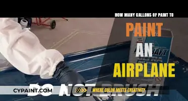 Painting Planes: Gallons Required for the Job