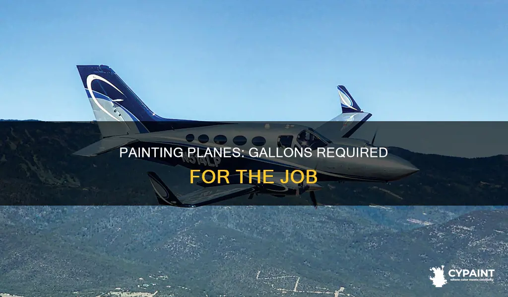 how many gallons of paint to paint an airplane