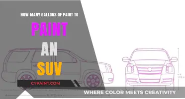 Painting Your SUV: How Much Paint to Buy?