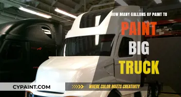 Painting a Big Truck: How Many Gallons of Paint?
