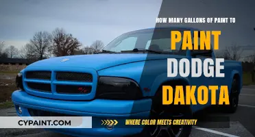 Painting Your Dodge Dakota: How Much Paint is Needed?