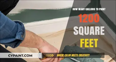 Painting 1200 Sq Ft: Calculate Gallons Needed for Perfect Coverage