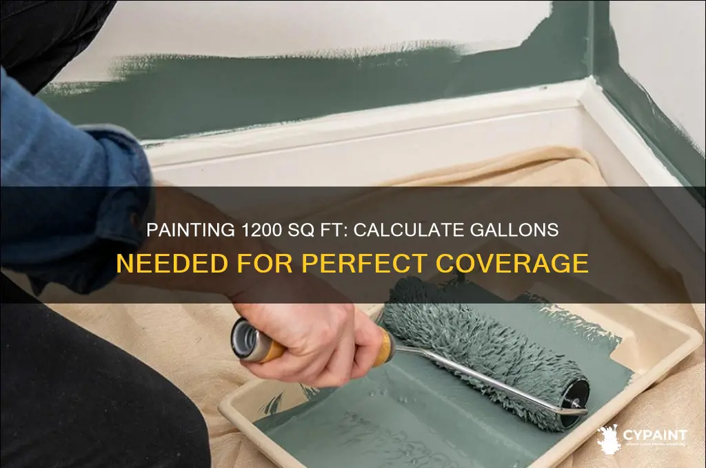 how many gallons to paint 1200 square feet
