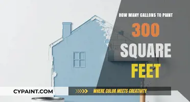 Painting 300 Square Feet: Gallon Estimates and Tips for Efficiency
