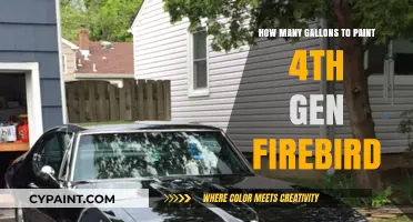 Painting Your 4th Gen Firebird: Gallon Estimates for a Flawless Finish