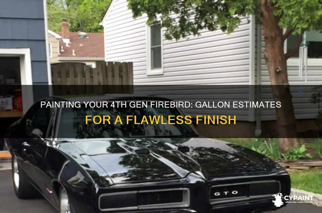 how many gallons to paint 4th gen firebird