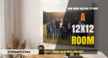 Painting a 12x12 Room: Gallon Estimates for a Perfect Finish