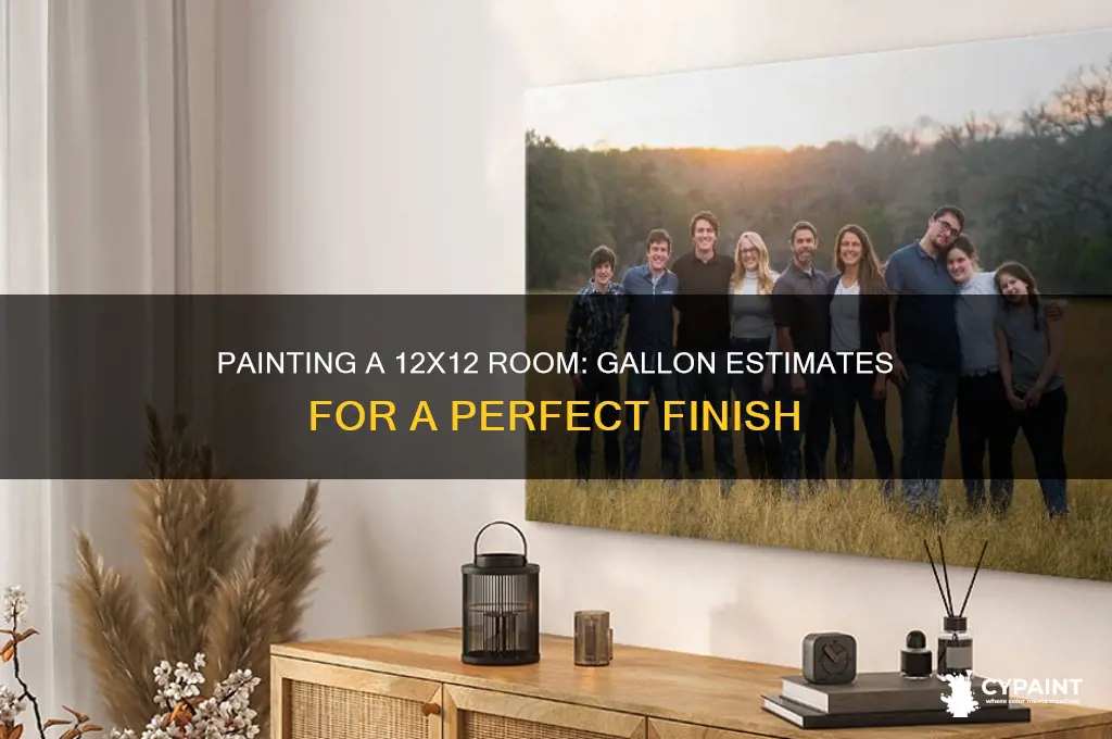 how many gallons to paint a 12x12 room