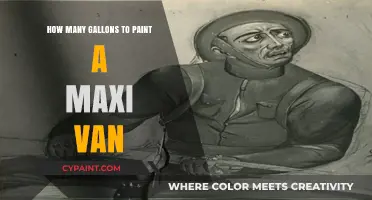 Maxi Van Painting Guide: Estimating Gallons for a Perfect Finish