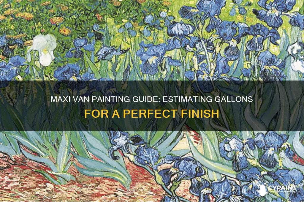 how many gallons to paint a maxi van