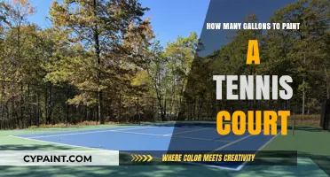Painting a Tennis Court: Estimating Gallons for a Perfect Finish