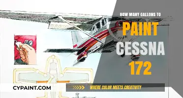 Painting a Cessna 172: Estimating Gallons for a Perfect Finish