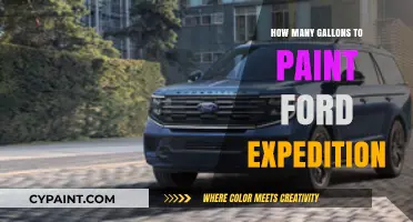 Painting Your Ford Expedition: Gallon Estimates for a Flawless Finish
