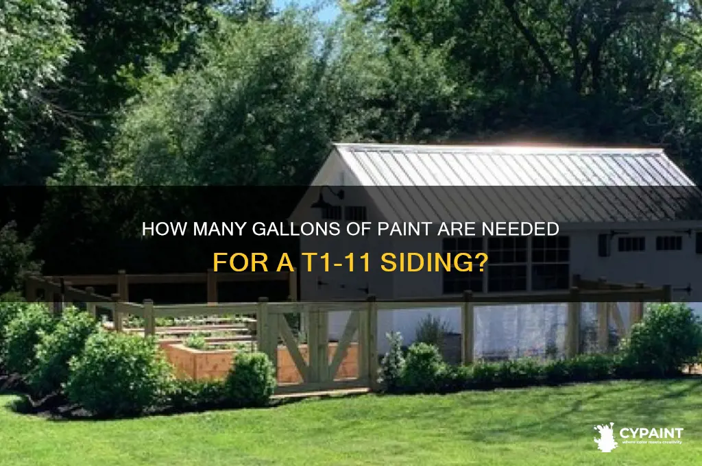 how many gallons to paint t 1 11