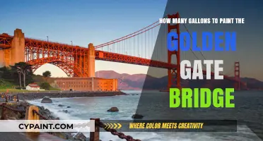 Painting the Golden Gate: Gallons Required to Complete the Task
