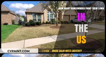 Homeowners' Lawn Painting: A Colorful US Trend