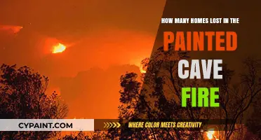 Devastating Painted Cave Fire: Homes Lost and Lessons Learned