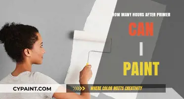 Primer to Paint: The Optimal Waiting Time for a Flawless Finish