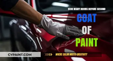 Timing Your Paint Coats: How Long to Wait Before Applying the Second Layer