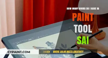Tracking Your Creative Journey: Hours Spent in Paint Tool SAI