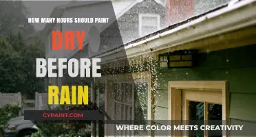 Optimal Paint Drying Time: Avoiding Rain Damage on Freshly Painted Surfaces