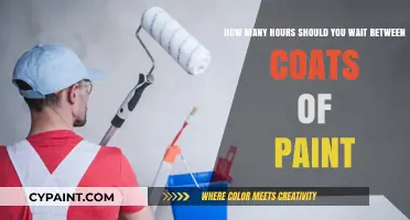 Perfect Paint Timing: Optimal Wait Time Between Coats Explained