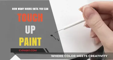 Wait Before Touch-Up Painting: How Long?