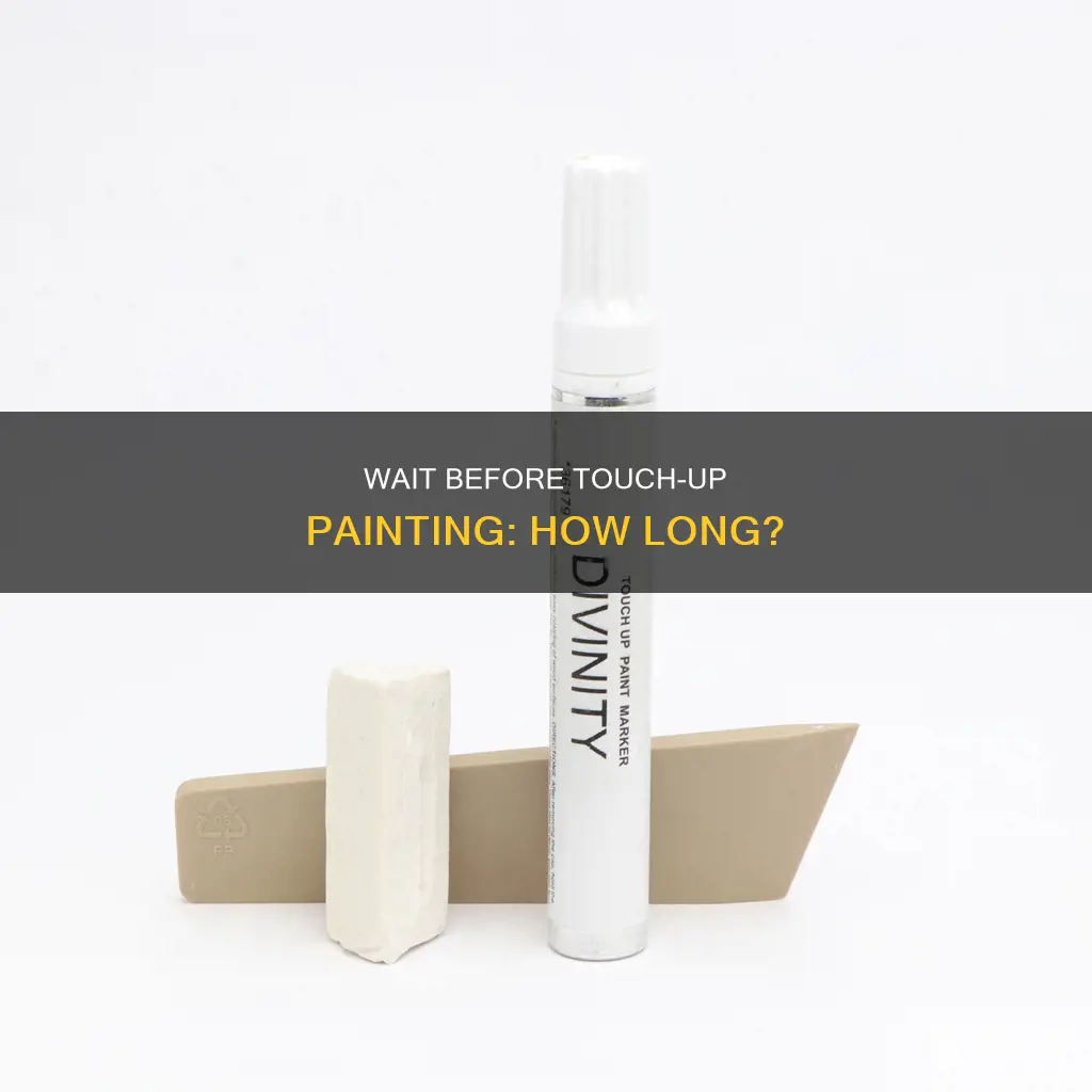 how many hours until you can touch up paint