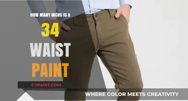 Understanding Waist Sizes: How Many Inches in a 34-Waist Pant?