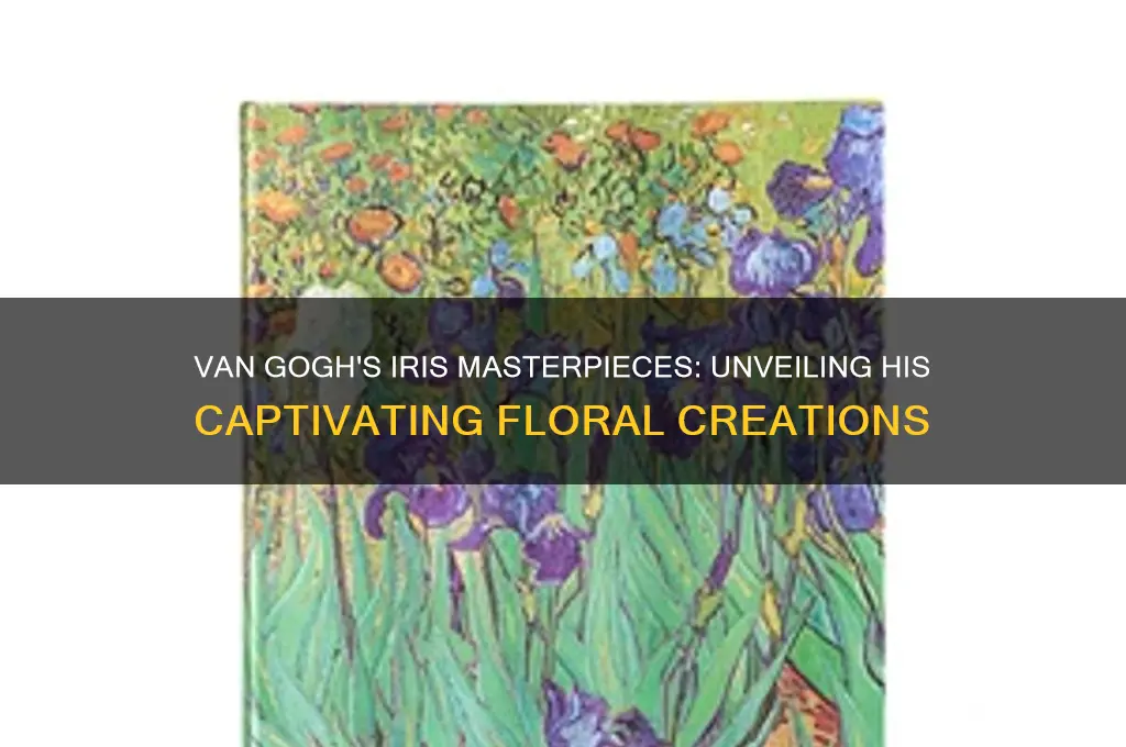 how many iris paintings did van gogh paint